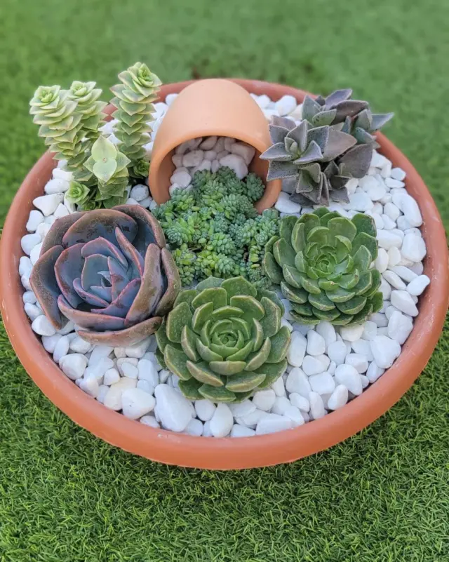 Feliz viernes!! www.cactusagroideas.com